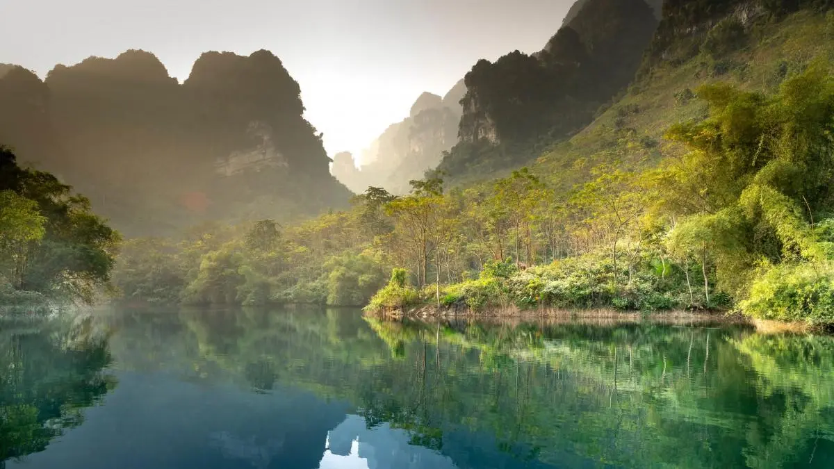 可靠性高效独特